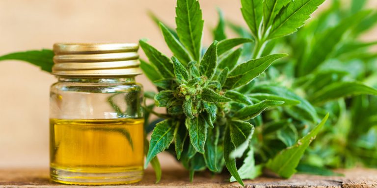 cbd