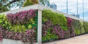 Ejemplos de un jardín vertical artificial en una ciudad